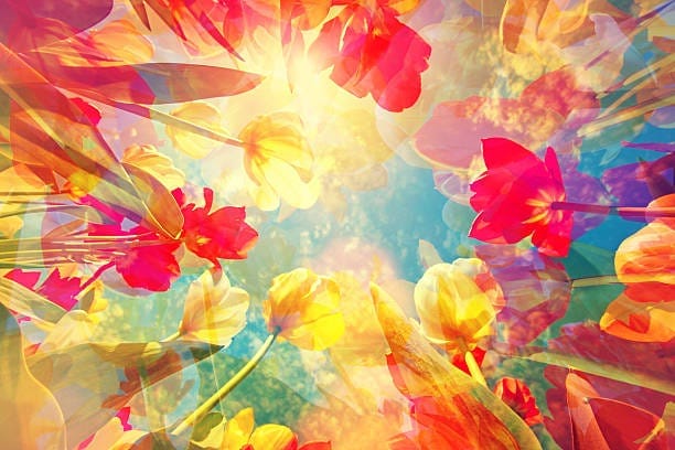 Maladaptive Daydreaming: How Do You Deal with Fear of Real Life as A Maladaptive Daydreamer? maladaptive daydreaming: when something you enjoy ruins your life Maladaptive Daydreaming: How Do You Deal with Fear of Real Life as A Maladaptive Daydreamer? maladaptive daydreaming: when something you enjoy ruins your life