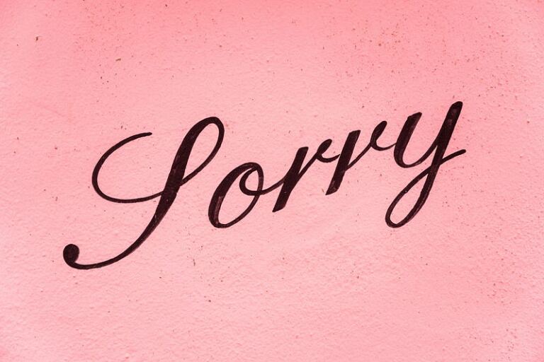 Should I Apologize to My Abusive Ex Partner? emotional dysregulation after abuse Should I Apologize to My Abusive Ex Partner? emotional dysregulation after abuse