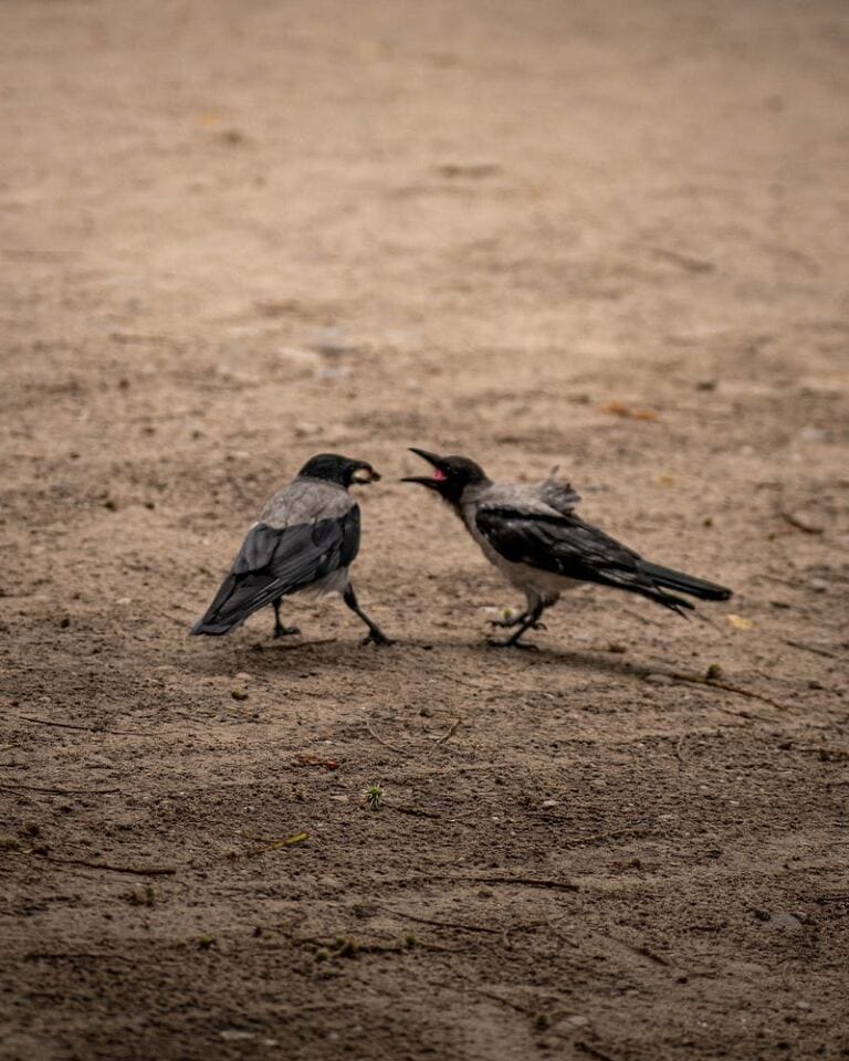 Why You Should Stop Defending Yourself to A Narcissist why some narcissists try to prove that they are happy after a breakup Why You Should Stop Defending Yourself to A Narcissist why some narcissists try to prove that they are happy after a breakup