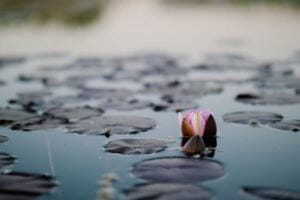 Healing Story 5 #Christine — When You Are used to Seeking Approval and Validation from Men and… hypervigilance: the most common behavior for someone who’s been in an abusive relationship