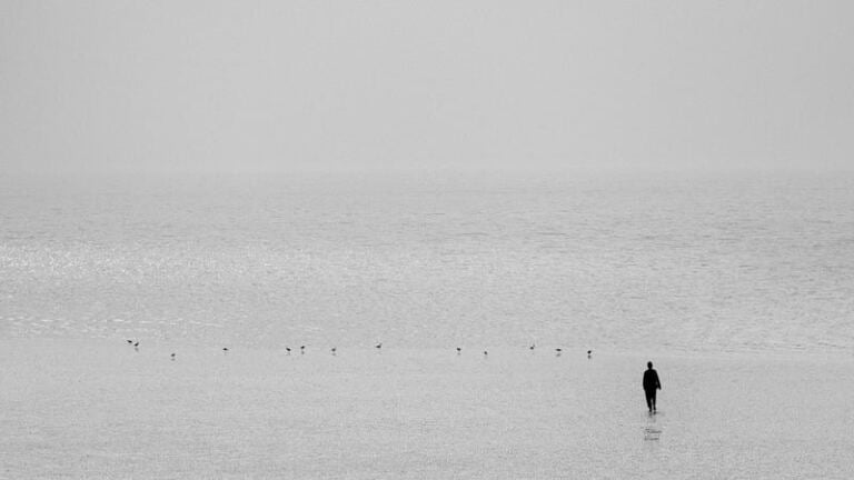 Why Toxic People Struggle to Recognize Their Own Toxicity? emotional dysregulation after abuse Why Toxic People Struggle to Recognize Their Own Toxicity? emotional dysregulation after abuse