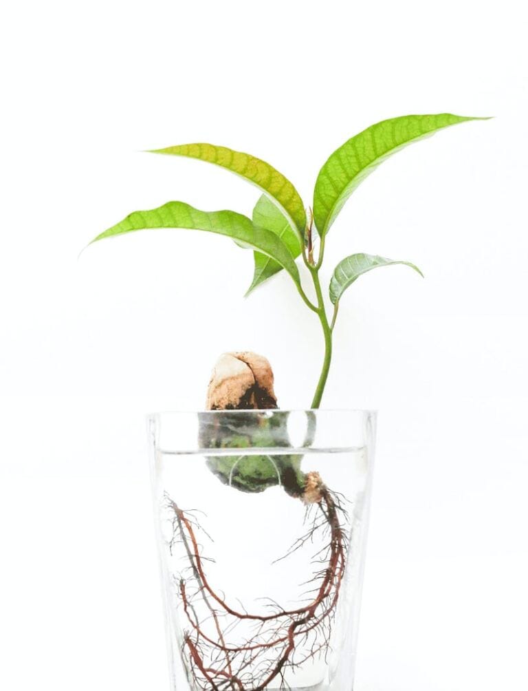 Attracting Toxic Relationships without a History of Trauma boundaries 101: what a boundaryless life looks like part 3? Attracting Toxic Relationships without a History of Trauma boundaries 101: what a boundaryless life looks like part 3?