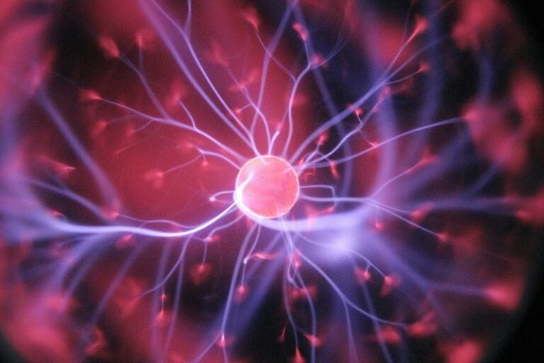 Where Do Narcissist Get The Energy To Hurt life after abuse: why did i lose interest in life? Where Do Narcissist Get The Energy To Hurt life after abuse: why did i lose interest in life?
