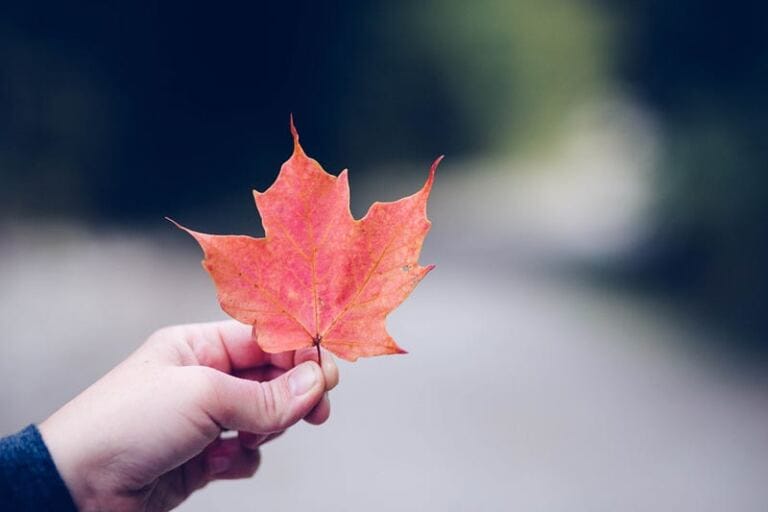 PEOPLE PLEASING: Why People Pleasers Attracts Narcissists how to take personal responsibility and be accountable in your healing journey PEOPLE PLEASING: Why People Pleasers Attracts Narcissists how to take personal responsibility and be accountable in your healing journey