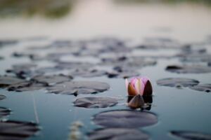 How to Live Peacefully with A Toxic Partner signs that your partner is not going to change in that relationship and there’s no need to wait