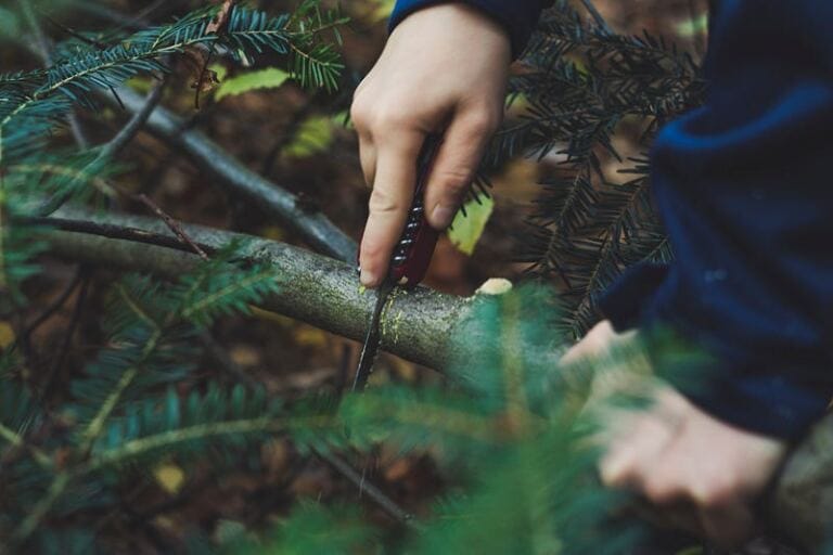 Survival Mode After Abuse : 6 Signs You’re Operating in Survival Mode walking on eggshells in a relationship Survival Mode After Abuse : 6 Signs You’re Operating in Survival Mode walking on eggshells in a relationship