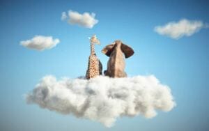 Maladaptive Daydreaming: How Do You Build a Social Life as An Excessive Daydreamer? why do narcissists play victim?