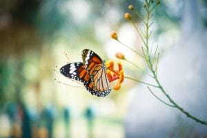 How to Transmute Your Emotional Pain into Healing and Avoid Suffering after Abuse why you feel so tired and exhausted after narcissistic abuse