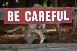 Toxic Relationships: Will Being Overly Cautious Keep You Away from Attracting Toxic Relationships? toxic relationships: when your abusive ex marries your best friend?