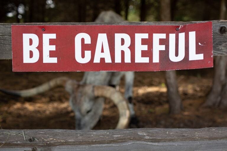 Toxic Relationships: Will Being Overly Cautious Keep You Away from Attracting Toxic Relationships? is it okay to date after leaving an abusive relationship? Toxic Relationships: Will Being Overly Cautious Keep You Away from Attracting Toxic Relationships? is it okay to date after leaving an abusive relationship?