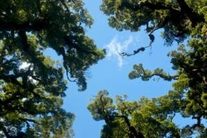 Maladaptive Daydreaming: Are You Really Stopping Your Daydreaming? maladaptive daydreaming: does excessive daydreaming help with your mental health?