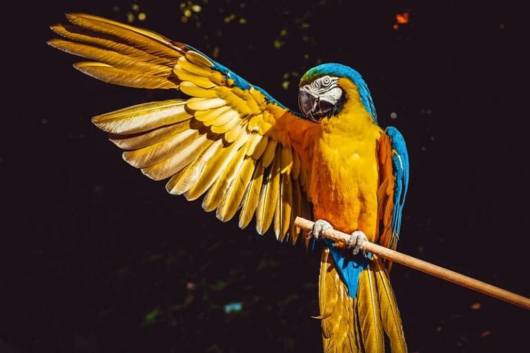 Trauma Dumping: Are you Hurting Others by Oversharing? why identifying your triggers is not enough to deal with your daydreaming? Trauma Dumping: Are you Hurting Others by Oversharing? why identifying your triggers is not enough to deal with your daydreaming?