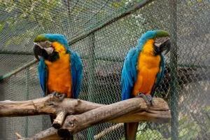 Boundaries 101- Conflict Resolution and Dealing with Boundary Violations maladaptive daydreaming: does excessive daydreaming help with your mental health?