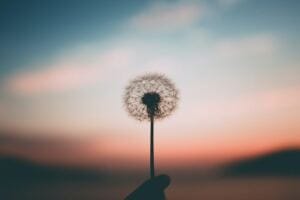Healing from Abusive Relationship: It Doesn’t Have To Take Forever does couple’s therapy work for abusive relationships?