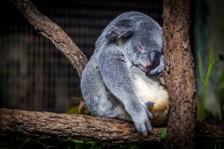 Why You Feel So Tired and Exhausted after Narcissistic Abuse letting go: what is it exactly and why you just can’t do it? Why You Feel So Tired and Exhausted after Narcissistic Abuse letting go: what is it exactly and why you just can’t do it?