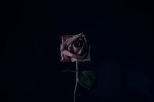 Are All Women with Knuckle Rings and Tattoos ‘Toxic’? making your new potential partner understand your ‘issues’ after leaving an abusive relationship