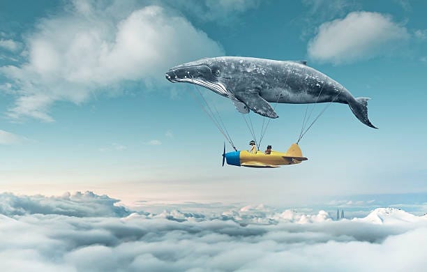 How Excessive Daydreaming Impacts Your Life how to find the strength and courage to leave an abusive relationship How Excessive Daydreaming Impacts Your Life how to find the strength and courage to leave an abusive relationship