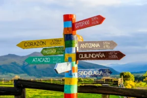 Healing is Getting Your Choice Back boundaries