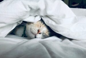 Sleep Deprivation: The Emotional Torture Hidden in Abusive Relationships sleep deprivation Sleep Deprivation: The Emotional Torture Hidden in Abusive Relationships sleep deprivation
