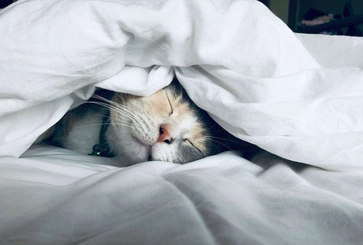 Sleep Deprivation: The Emotional Torture Hidden in Abusive Relationships sleep deprivation Sleep Deprivation: The Emotional Torture Hidden in Abusive Relationships sleep deprivation